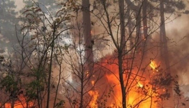 През тази седмица в региона се очакват температурите да надхвърлят 40 градуса, а областта е в зоната с висока опасност от пожари