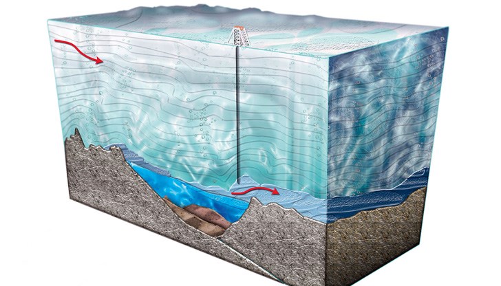 Микроскопичните организми могат да оцелеят при минусови температури и без слънчева светлина Микроскопичните организми могат да оцелеят при минусови температури и без слънчева светлина