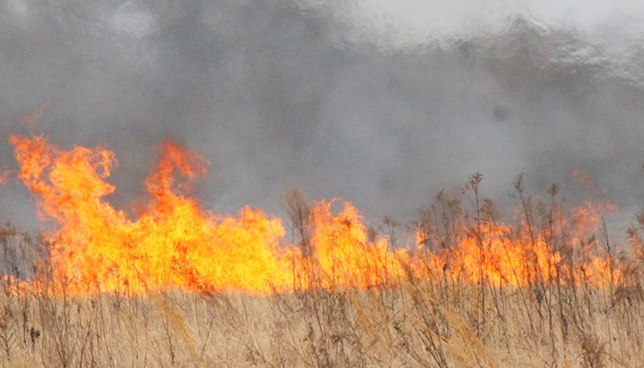 Възможно е посевите да са пламнали от изхвърлен фас Възможно е посевите да са пламнали от изхвърлен фас