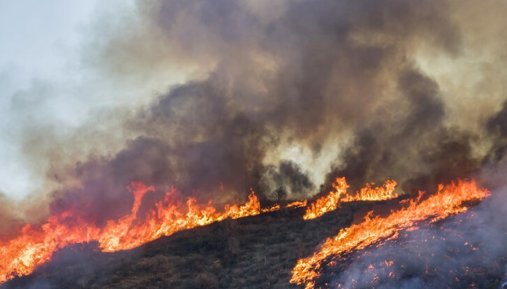 След десетдневна гореща вълна, придружена от суша, голям горски пожар избухна днес на гръцкия ваканционен остров Кефалония
