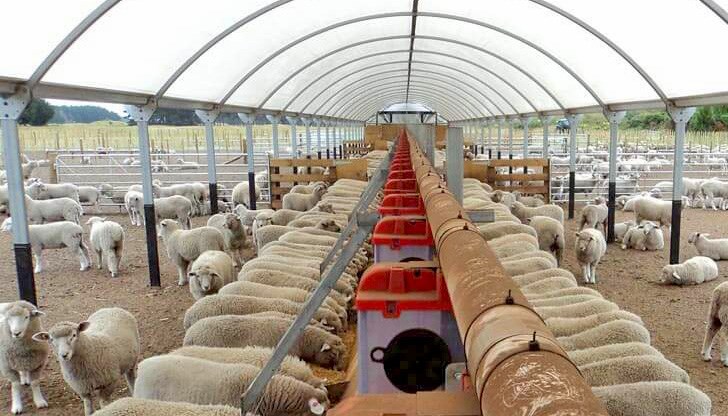 В 12 от обектите не са установени живи животни, а са писани само на хартия