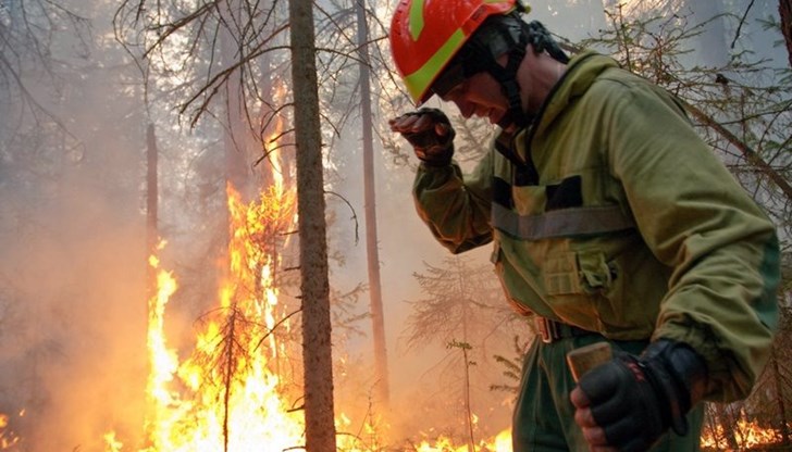 От началото на пожароопасния сезон в Русия са пламнали около 11 хиляди огнища