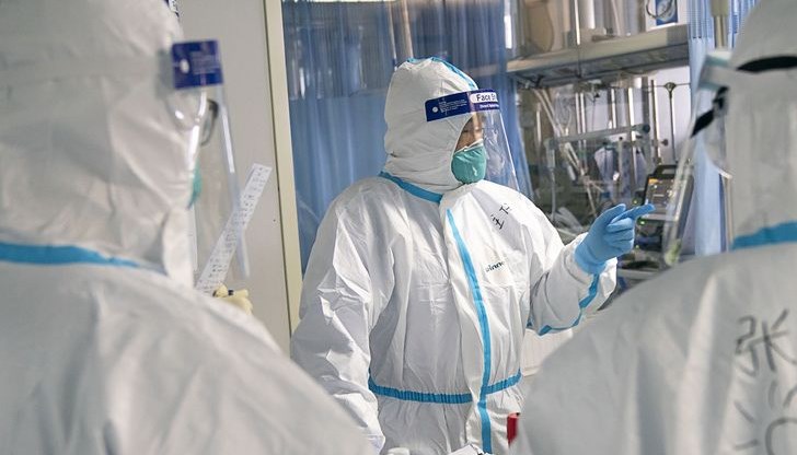 Държавните и здравни служители обявиха, че разследват бактериална инфекция при животни и бълхи Държавните и здравни служители обявиха, че разследват бактериална инфекция при животни и бълхи