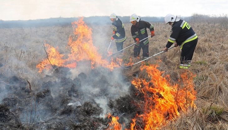 Горски пожари обхванаха местности край Кюстендил и Гърмен
