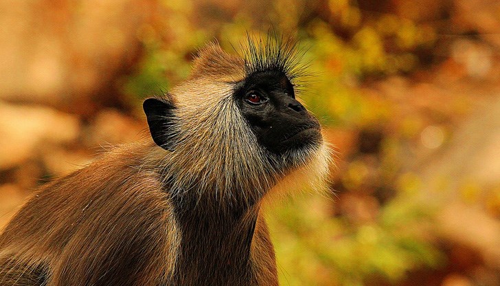 В момента той е хоспитализиран в Далас, САЩ