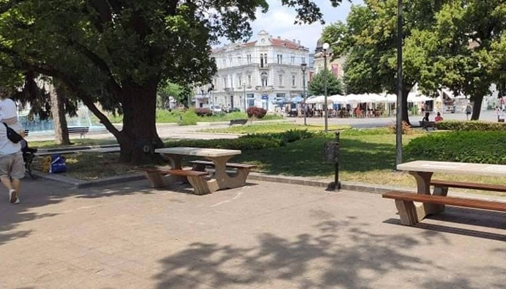 Общината е купила 50 броя