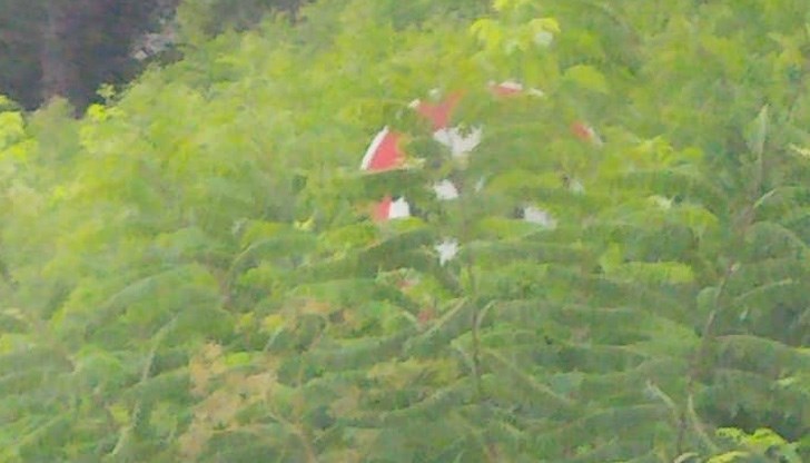 Сигурно така отпадат ограниченията...