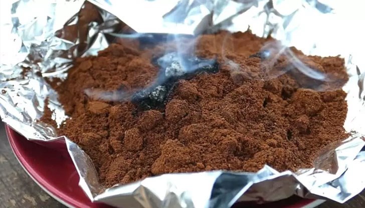 Прост и ефективен начин за справяне с едни от най-досадните насекоми