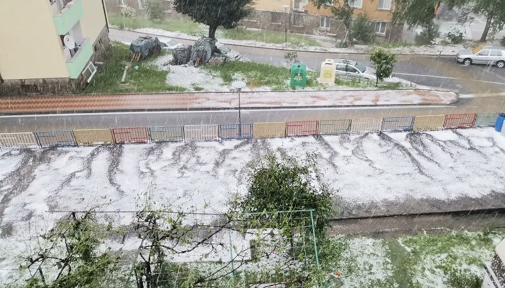 Реколтата в района е изравнена със земята