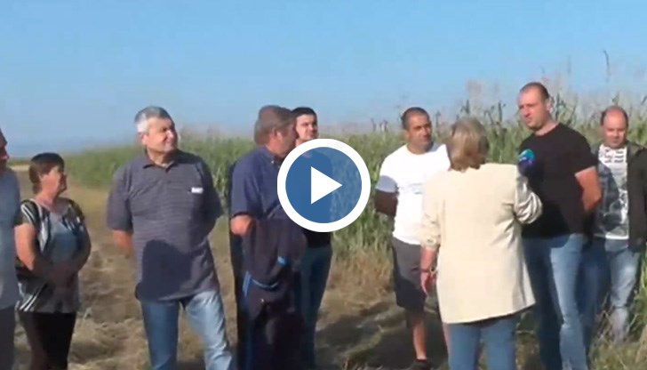 След бурята, която удари региона, щетите са огромни