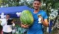 18-килограмова диня стана първенец на фестивала в Салманово