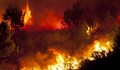 Заради горските пожари в региона: Северна Македония забрани излетите