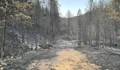 Жител на Делчево в Северна Македония: Пожарът унищожи на 100% дивата природа