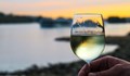 Американско проучване: Чаша бяло вино на ден намаля възможността за ранна менопауза с 20%