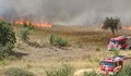 40 пожара са загасени в страната от началото на деня