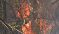 Обстановката с пожарите у нас остава напрегната