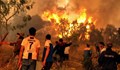 Обвинен за пожарите в Алжир мъж беше убит и изгорен
