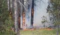 Два хеликоптера и 100 души гасят пожара в Родопите