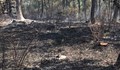 Пожарът край село Свирачи унищожи 500 декара гора