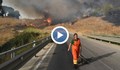 Рекордни жеги и опустошителни пожари в Eвропа