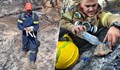 Гръцки пожарникари спасиха костенурка и кутре от опожарени гори