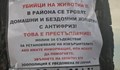 Тровят домашни и бездомни животни с антифриз по булевард "Придунавски"