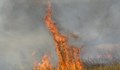 Пожар застрашаваше три тракийски гробници край град Шипка