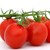 "Пластмасови"-те домати: Специален сорт, който издържа по месец