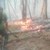 Пожарът край Югово: Най-тежка е ситуацията на билото