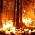 Екстремален индекс за пожароопасност в 18 области в страната