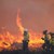 42 пожара горяха в страната за последното денонощие