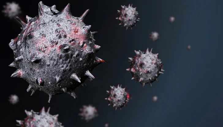 Общо за страната от 85 проби са установени 84 на Делта щама и 1 на Алфа Общо за страната от 85 проби са установени 84 на Делта щама и 1 на Алфа