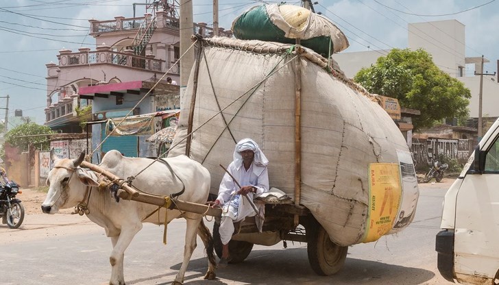 Общият брой на жертвите на епидемията от това заболяване е достигнал 68 души в региона, като 40 от тях са деца