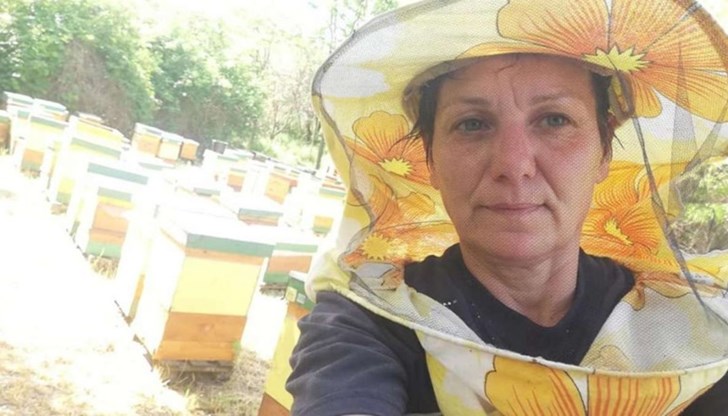 Цената на меда е катастрофално ниска