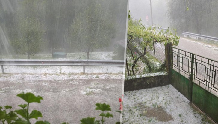 Градушка с големината на лешник и пороен дъжд са унищожили снощи голяма част от селскостопанската реколта в троянското село Бели Осъм