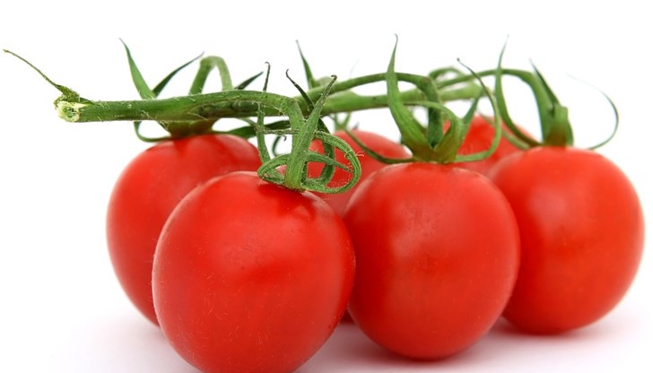 Евгени Караиванов разкрива, че т.нар. пластмасови домати не са ГМО, а вид семена