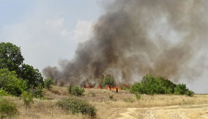 Предполага се, че жертвите са се задушили Предполага се, че жертвите са се задушили