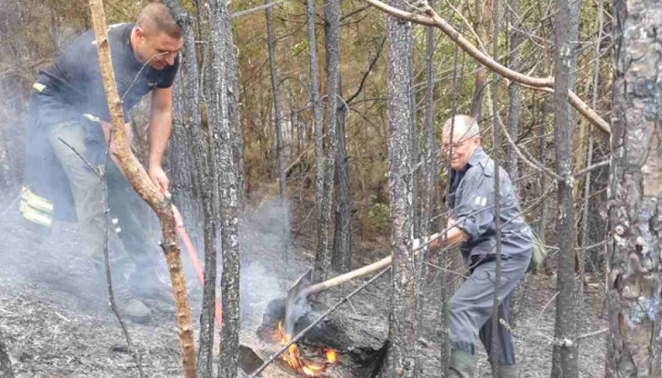 Те са на възраст от 9 до 14 години Те са на възраст от 9 до 14 години