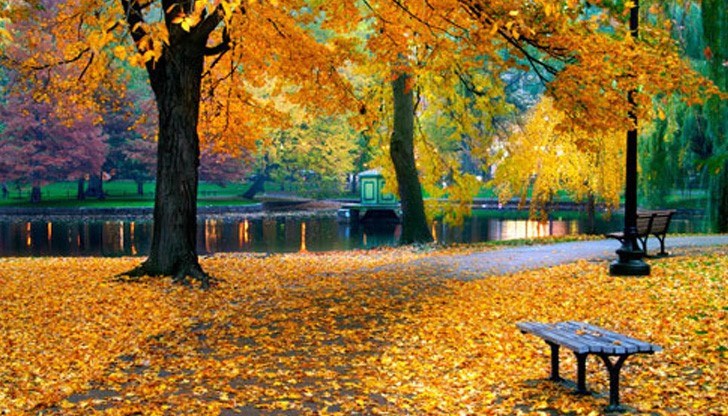 Месечната сума на валежите ще бъде около и над нормата Месечната сума на валежите ще бъде около и над нормата