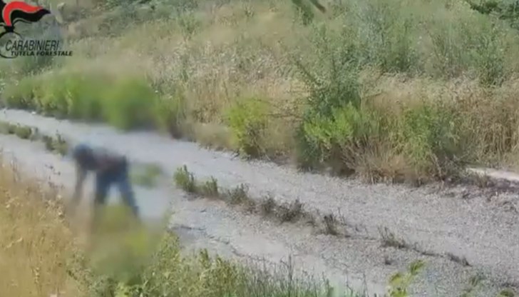 50-годишният фермер е задържан от карабинерите 50-годишният фермер е задържан от карабинерите