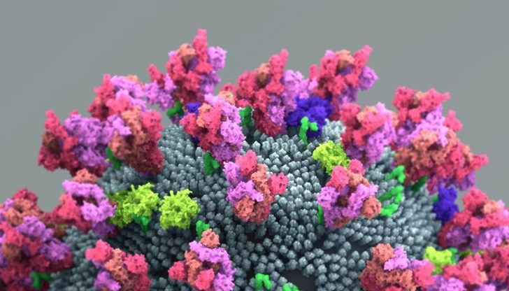 В борбата срещу пандемията страната ще разчита и на собствените си препарати В борбата срещу пандемията страната ще разчита и на собствените си препарати