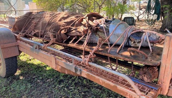 Те са плували близо до крайбрежно рибарско селище на полуостров Кейп Йорк