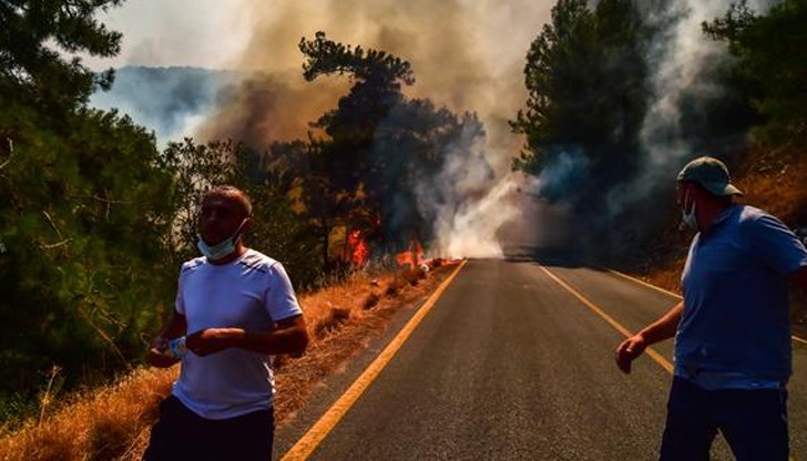 На 2 август в района на град Миляс четирима души са предизвикали пожар с коктейли Молотов На 2 август в района на град Миляс четирима души са предизвикали пожар с коктейли Молотов