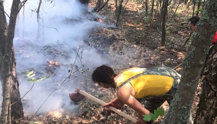 Винят дървената мафия и забавянето на хеликоптер