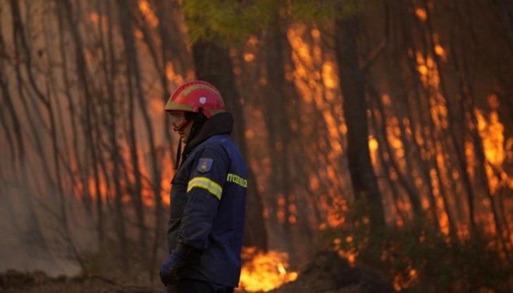 Жената имала сериозни психологически проблеми Жената имала сериозни психологически проблеми