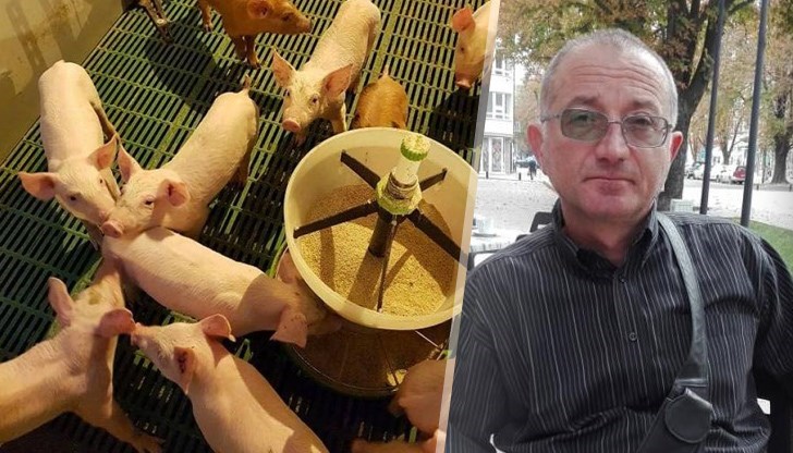 Нови огнища на Африканска чума, фермерите - не трябва поголовно да се избиват животните, защото това ще доведе до масови фалити в бранша Нови огнища на Африканска чума, фермерите - не трябва поголовно да се избиват животните, защото това ще доведе до масови фалити в бранша