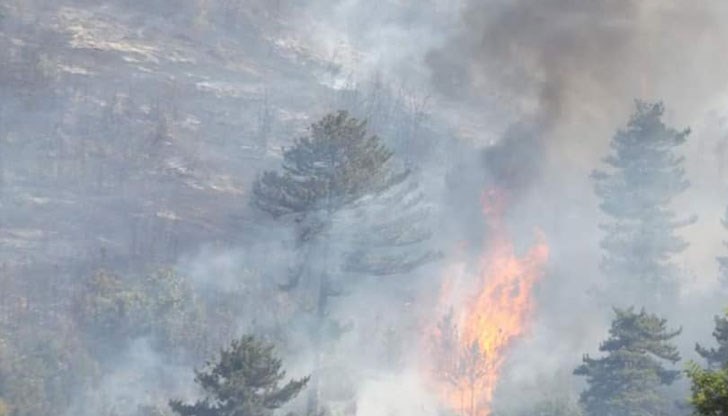 Причината са разрастващите се пожари в горските местности