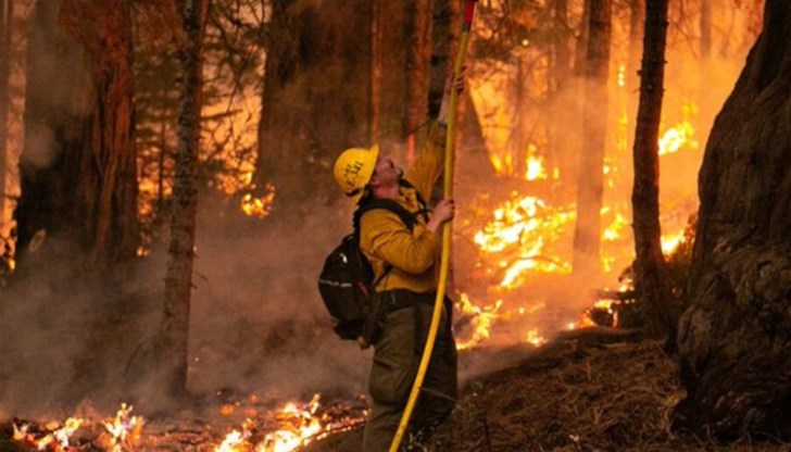 Огромен пожар се приближава към района на популярната за туристите дестинация езерото Тахо