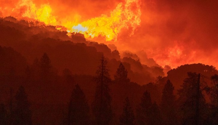 Голям пожар пламна в Стара Планина, близо до Рожен и Клисура