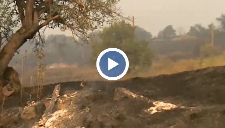 Пет пожара са активни в Кюстендилско. Най-сериозна е ситуацията в Долно село